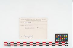 Foto von Keramiktopf (NHMW-PRAE-078087)